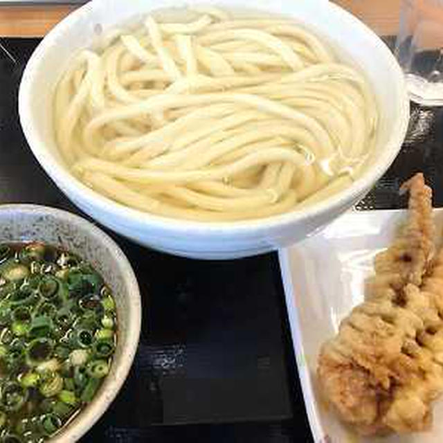 釜揚げうどんとゲソてん。天空のブランコとフォトフレーム