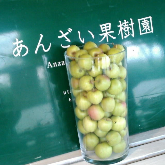 あんざい果樹園「ふくしま 新発売。」今の福島を見に行くモニターツアーその２