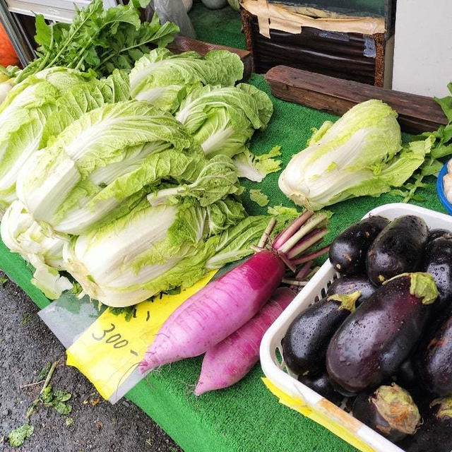 直売所のお野菜は、形はともかくお値打ち！大根50円！白菜300円！