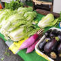直売所のお野菜は、形はともかくお値打ち！大根50円！白菜300円！