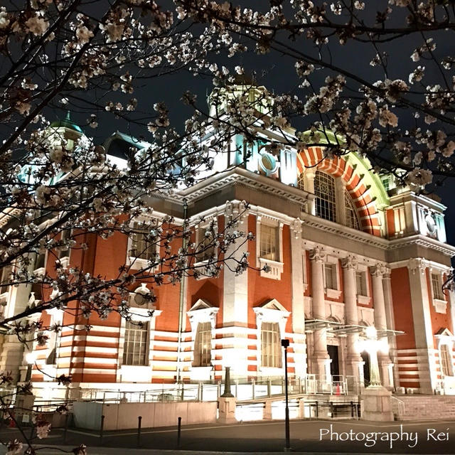 ＊寄り道は楽しい〜夜桜を眺めに♪