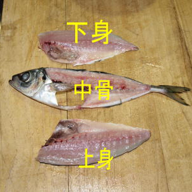 アジのおろし方　　動画編