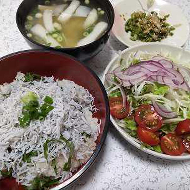 しらす丼の朝ごはん