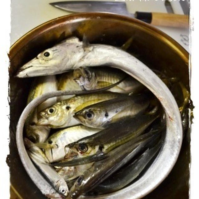 旦那様の釣果と好物のアレ★