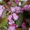 桜の花の塩漬けと花よりリダ