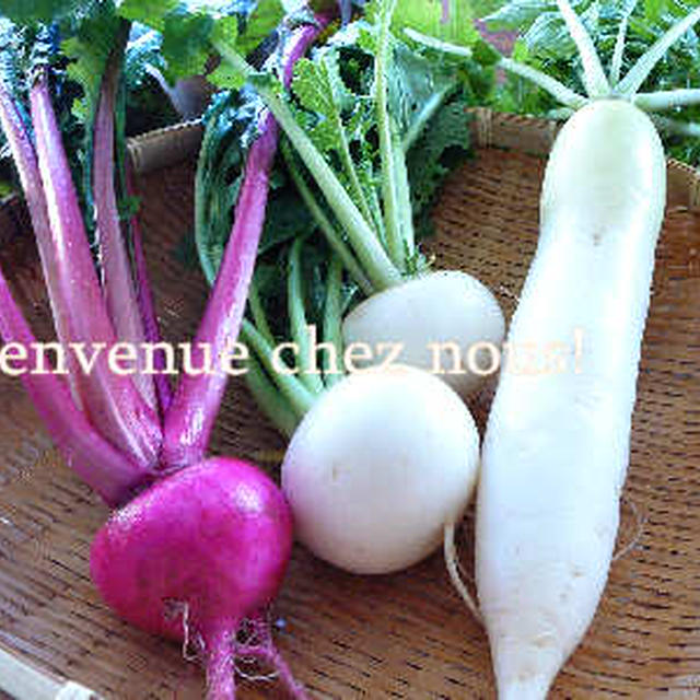 新鮮野菜でふろふき大根♪