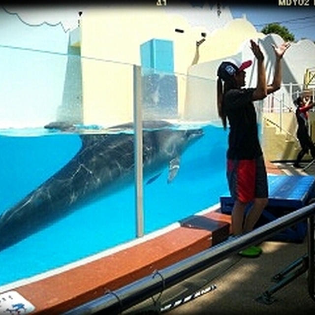 須磨水族園に来ています。