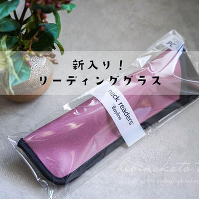 新入り！リーディンググラスと、今日のおべんとう