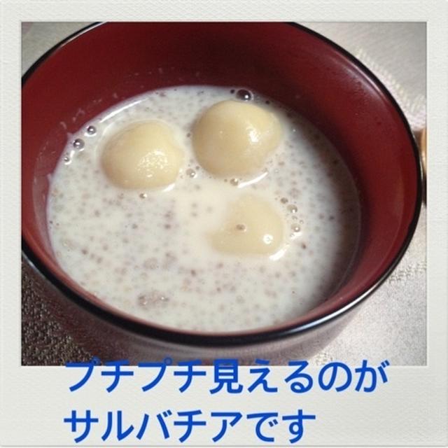 サルバチアで豆乳しるこ