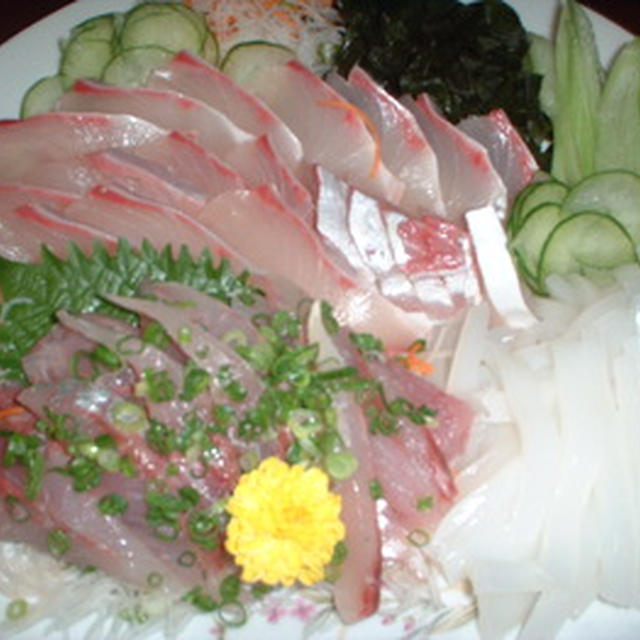 ヒラソ、鯵、イカのお刺身と母の手料理
