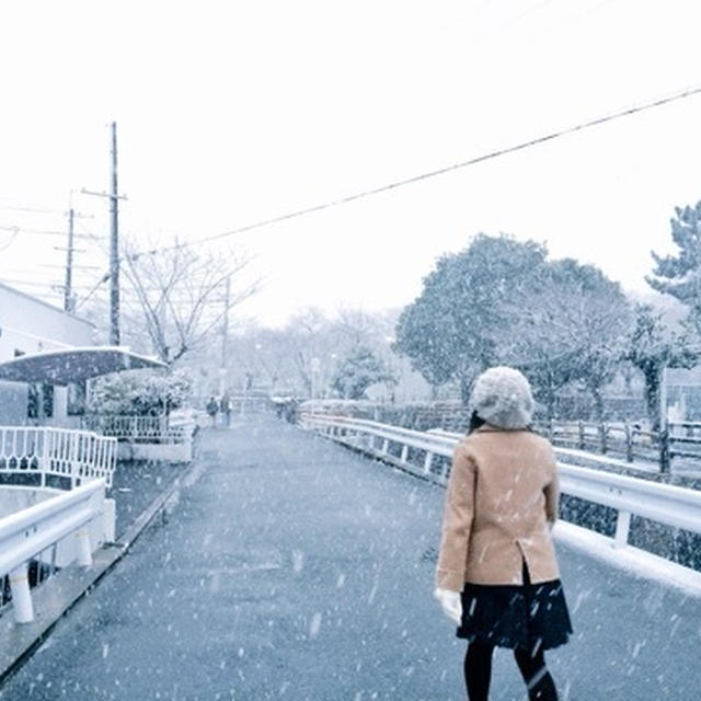 大雪 ✿ 従姉妹達と初詣 雪合戦