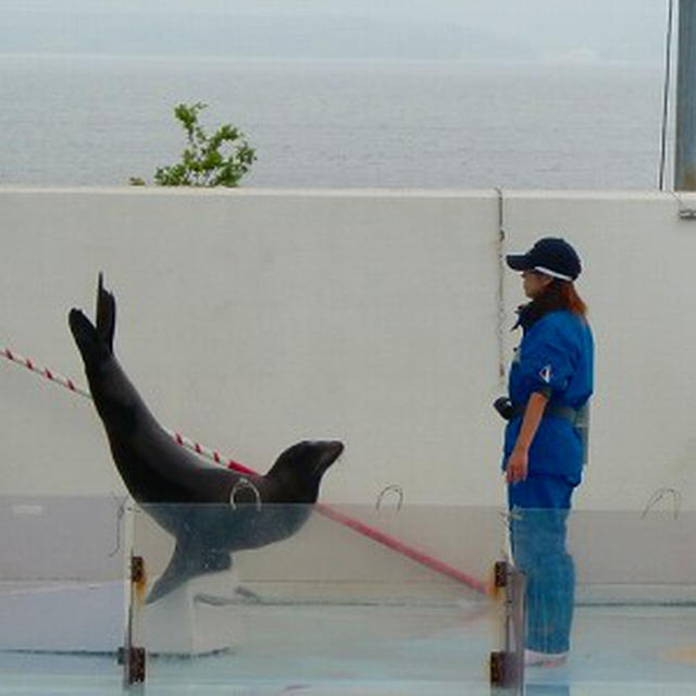 のとじま水族館パート1♪