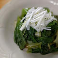 お弁当の隙間おかずレシピ人気の葉物野菜レタスの簡単炒め物