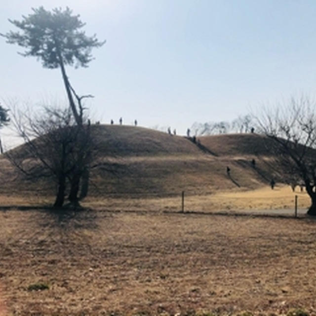 日本キャンパック　大室公園
