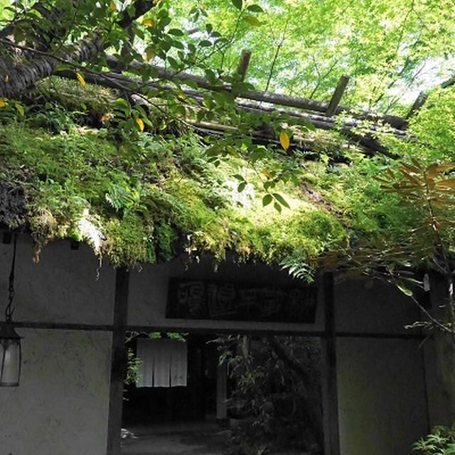 黒川温泉へ行ってきました！