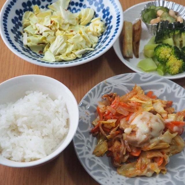 ベジ指数11.1が出た！！専業主婦ケチ子親子のお昼ご飯