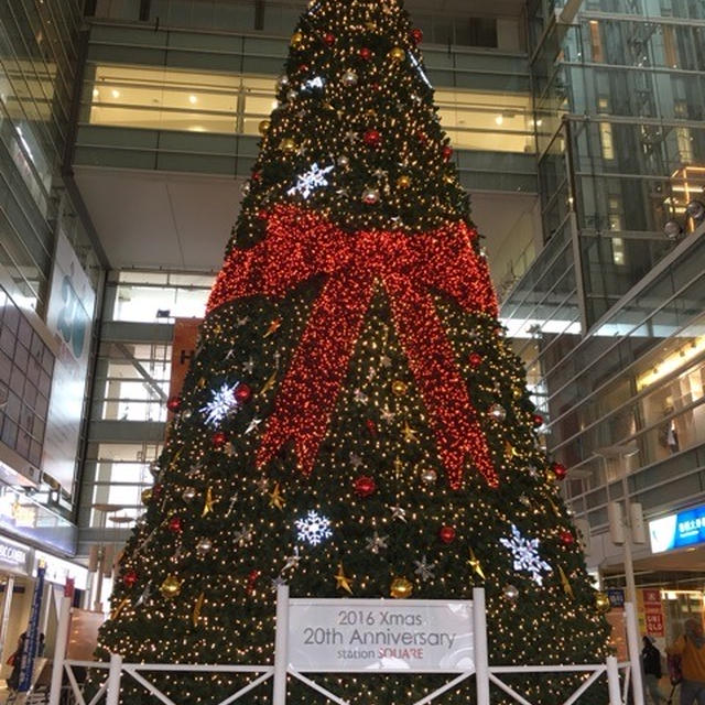クリスマスツリーだ！