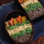 台風→仕事 　bento♪