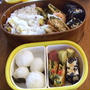 韓国のりと鶏ひき肉の春巻き★お弁当