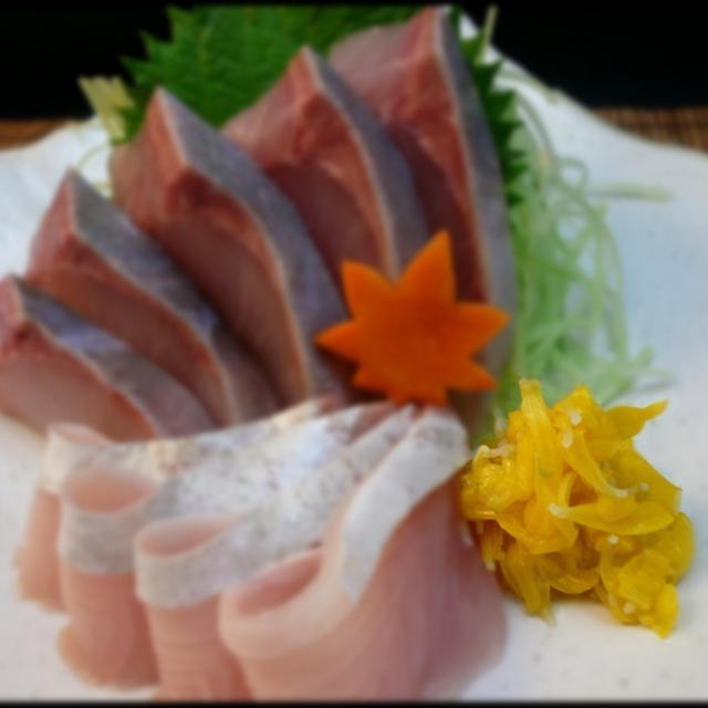 保存も簡単♪ 彩りと香りの食用菊