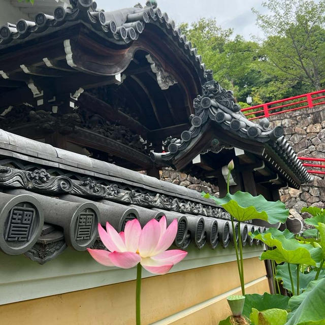 宝塚市　中山寺名物　蓮筍ごはん　お休み処　梵天　