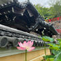 宝塚市　中山寺名物　蓮筍ごはん　お休み処　梵天　
