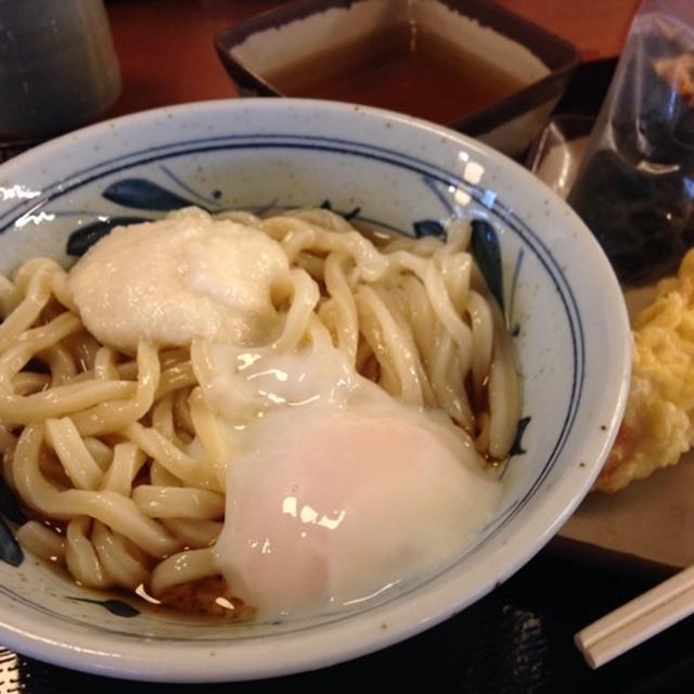 とろろぶっかけ