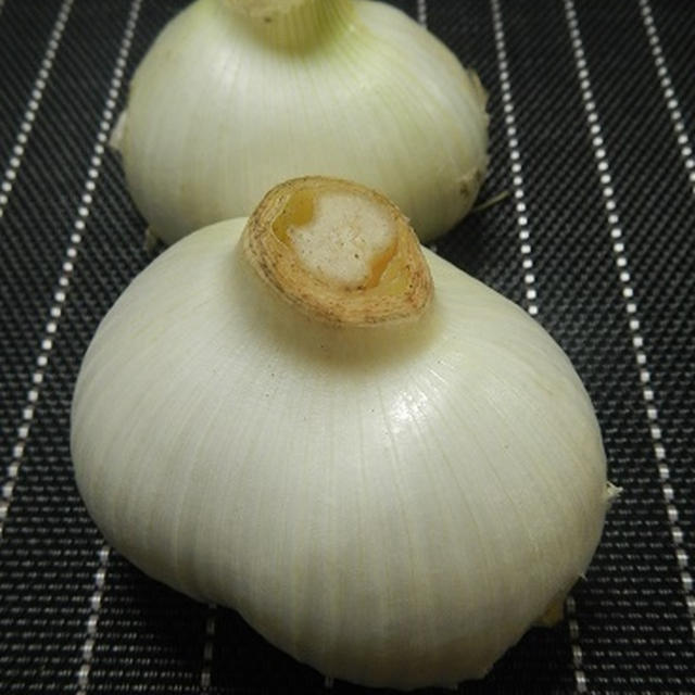 巨大(°д°)!!ジャンボにんにく