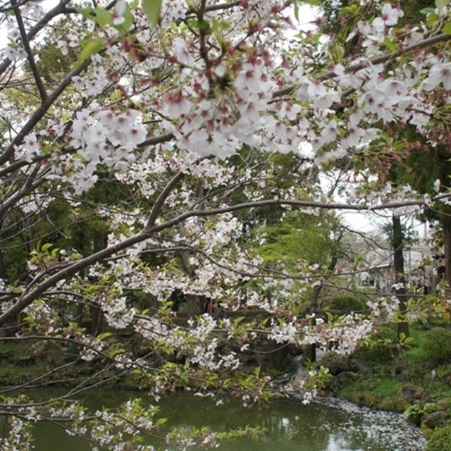 北鎌倉散策～明月院＆円覚寺～ と　湘南薬膳スープとコーヒーのお店「リセットカフェ」