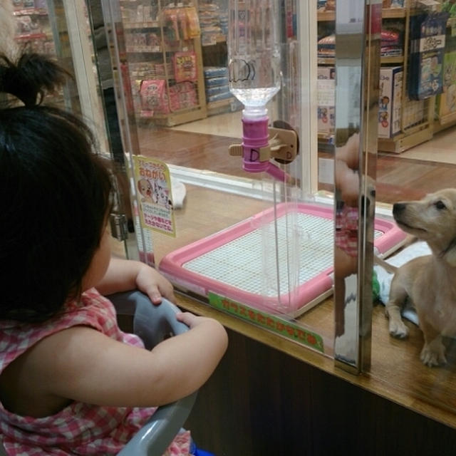 次女にとっては動物園！