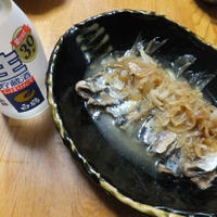 【第112回】白鶴　生酒を自家製オイルサーディンで味わう