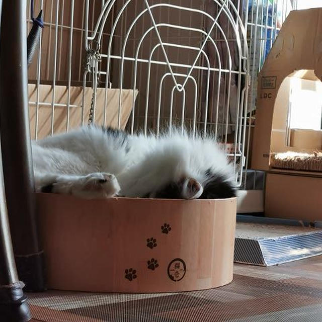 おネムなひと...
