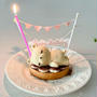 誕生日。 と 念願のかわいすぎるケーキ。