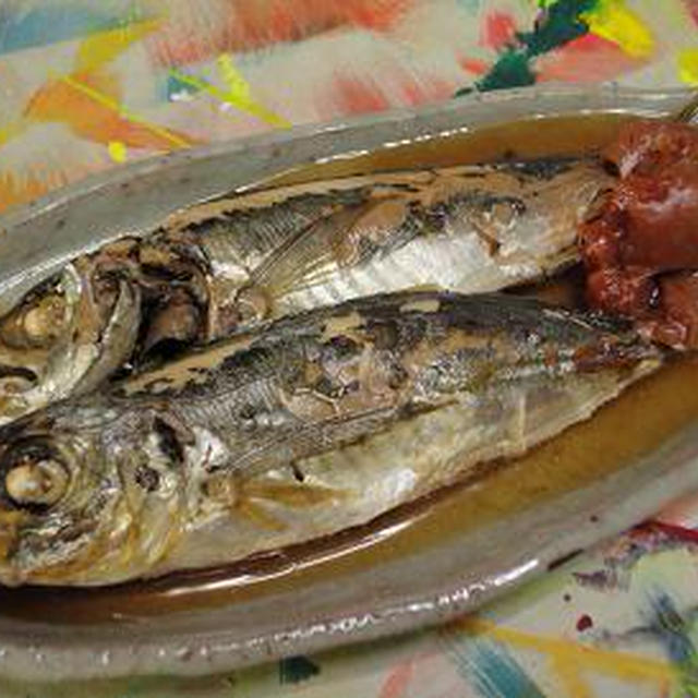 ☆鯵の梅煮☆