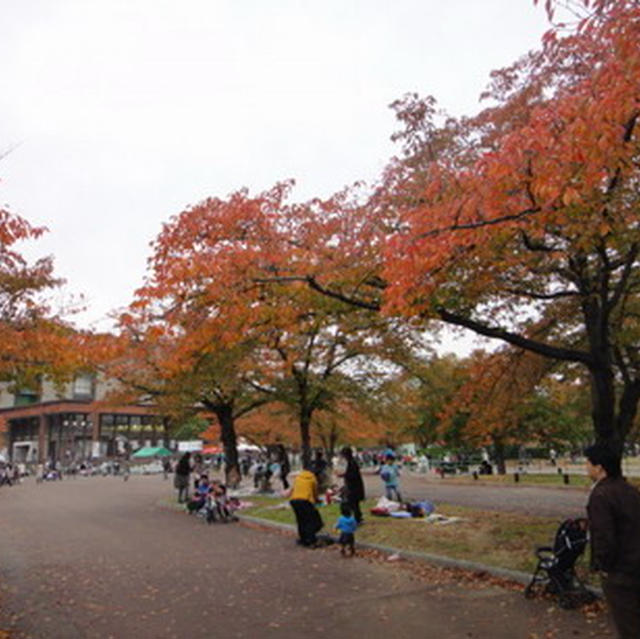 久しぶりの更新です・・・