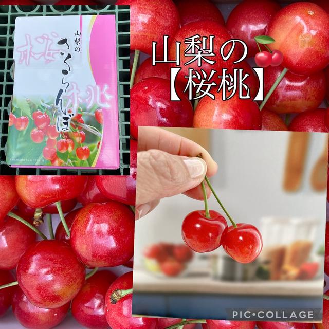 山梨のさくらんぼ【桜桃】今まで食べたさくらんぼで一番美味しい★