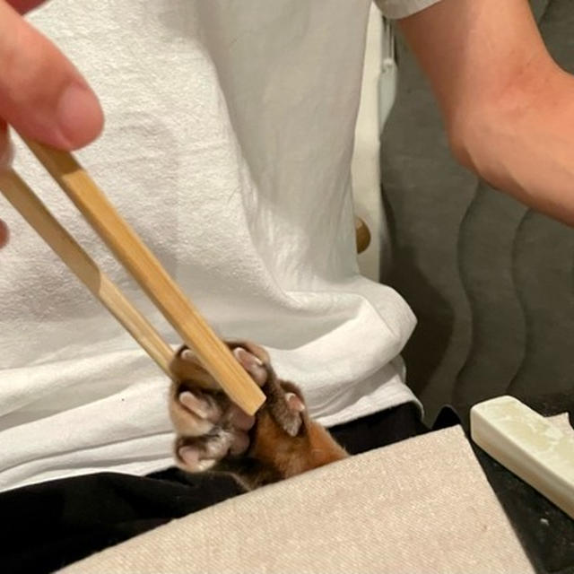 おや？クリームパンがありますねぇ