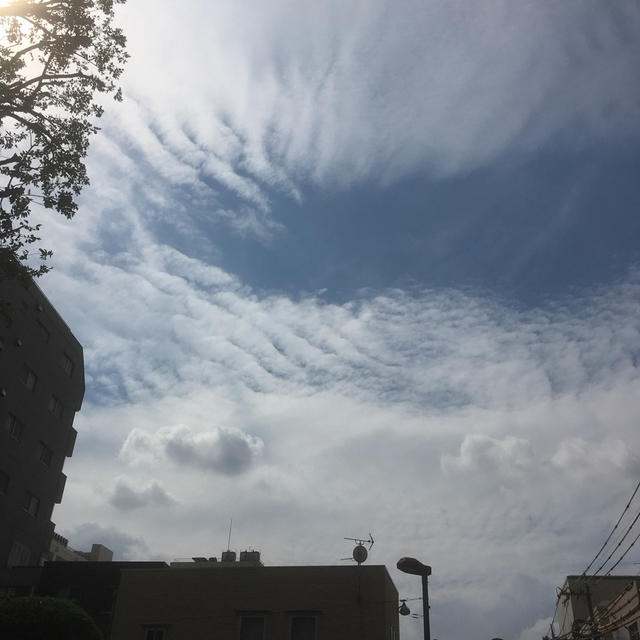 アウトプット