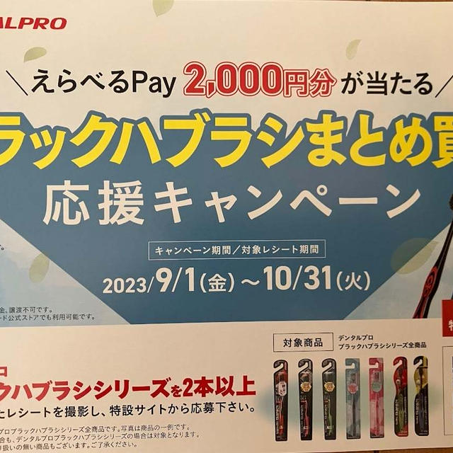※店舗限定※　デンタルプロ ブラックハブラシまとめ買い応援キャンペーン