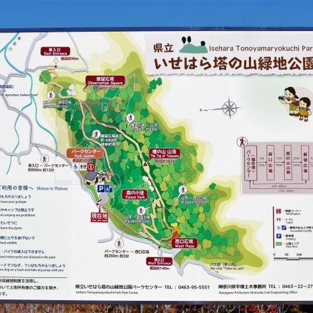 ■伊勢原ウォーキング２【塔の山緑地公園／ランチは坂本水産　美代寿司にて。】
