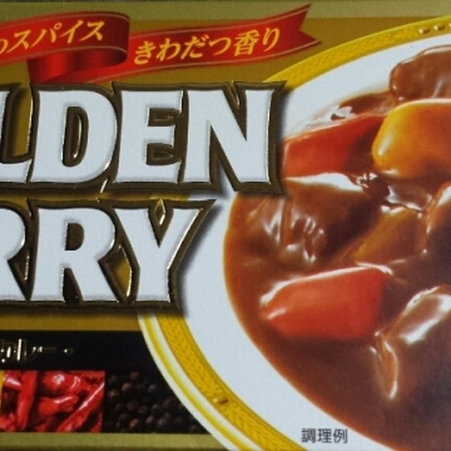 S&Bゴールデンカレーでスープカレー♪