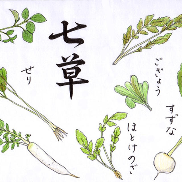イラスト 春の七草 By のびこさん レシピブログ 料理ブログのレシピ満載