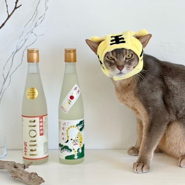 「福光屋」さんのSNSキャンペーンで虎の日本酒が当選した✨