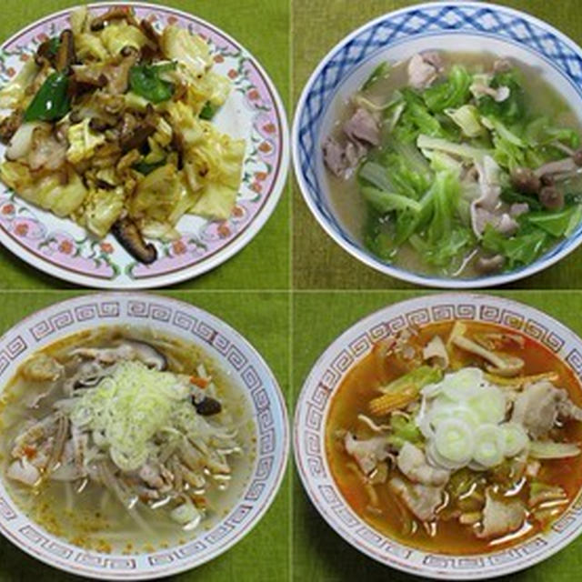 豚肉とキャベツの豆板醤スープ煮、他：野菜食日誌[559]-[562]