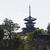 いざいざ奈良。やっぱり薬師寺も外せません！