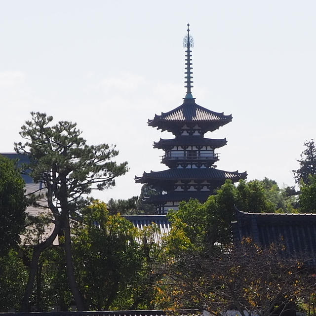 いざいざ奈良。やっぱり薬師寺も外せません！