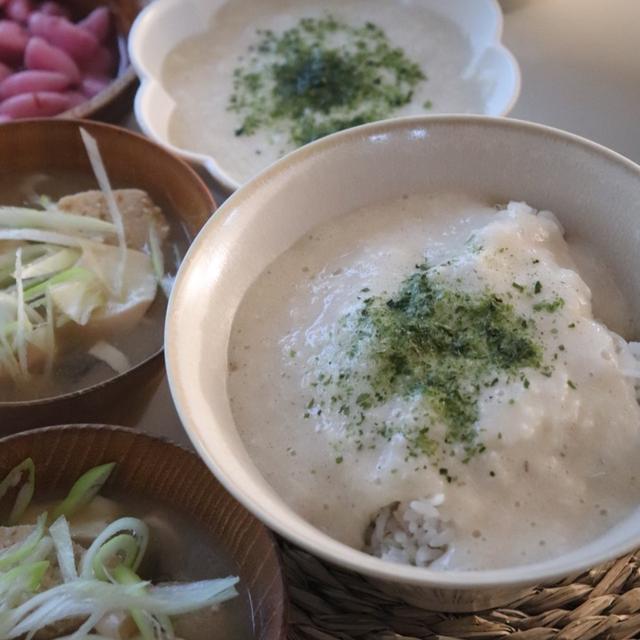 つくね芋でとろろゴハン＊