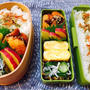 息子弁当が始まりました