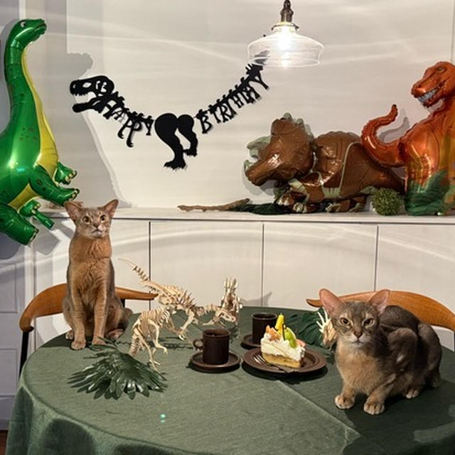 わか坊のお誕生日に便乗ケーキ
