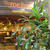 奈良「mellow cafe」